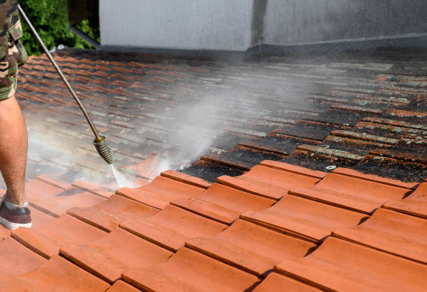 Best Roof Pressure Washing  in Tyler, MN