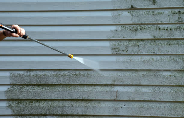 Best Commercial Building Pressure Washing  in Tyler, MN