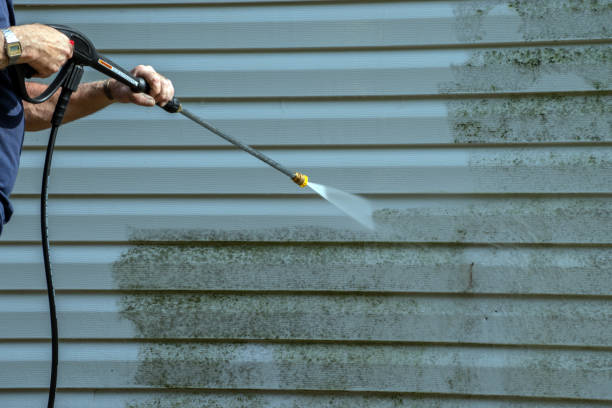 Best Commercial Building Pressure Washing  in Tyler, MN