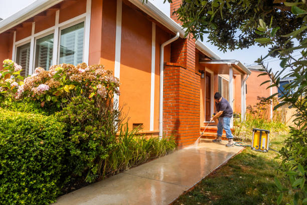 Best House Pressure Washing  in Tyler, MN
