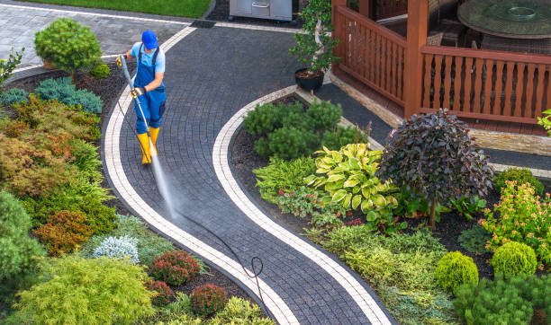 Best Exterior Home Cleaning  in Tyler, MN