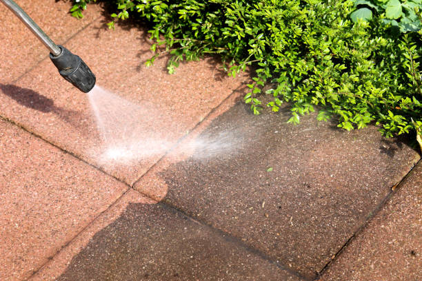 Best Roof Power Washing Services  in Tyler, MN